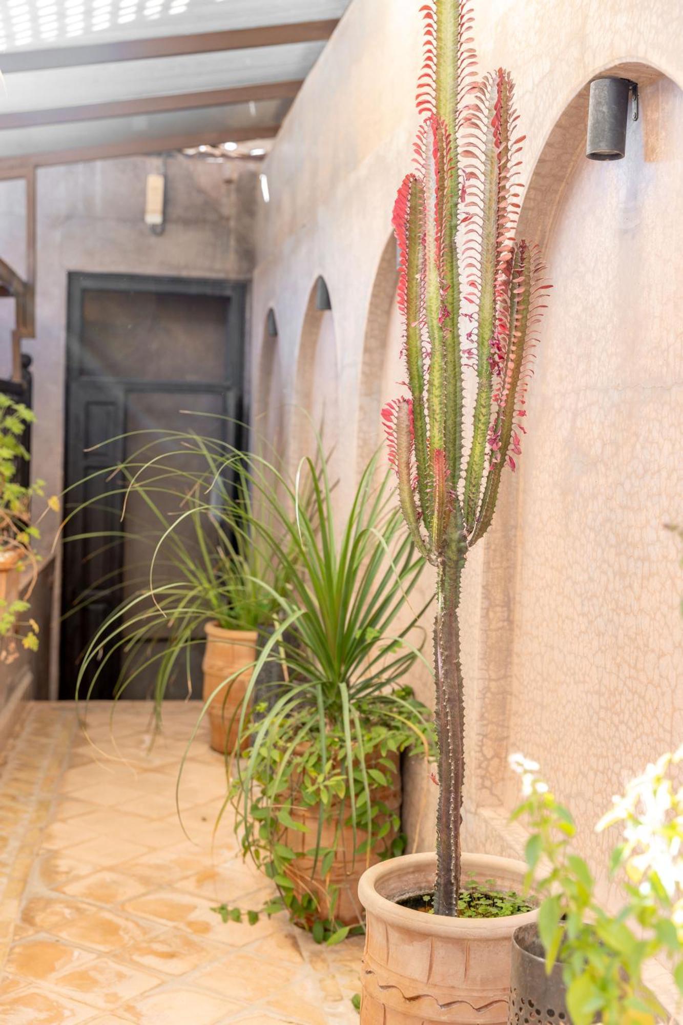 Dar Beija Bed & Breakfast Marrakesh Exterior photo